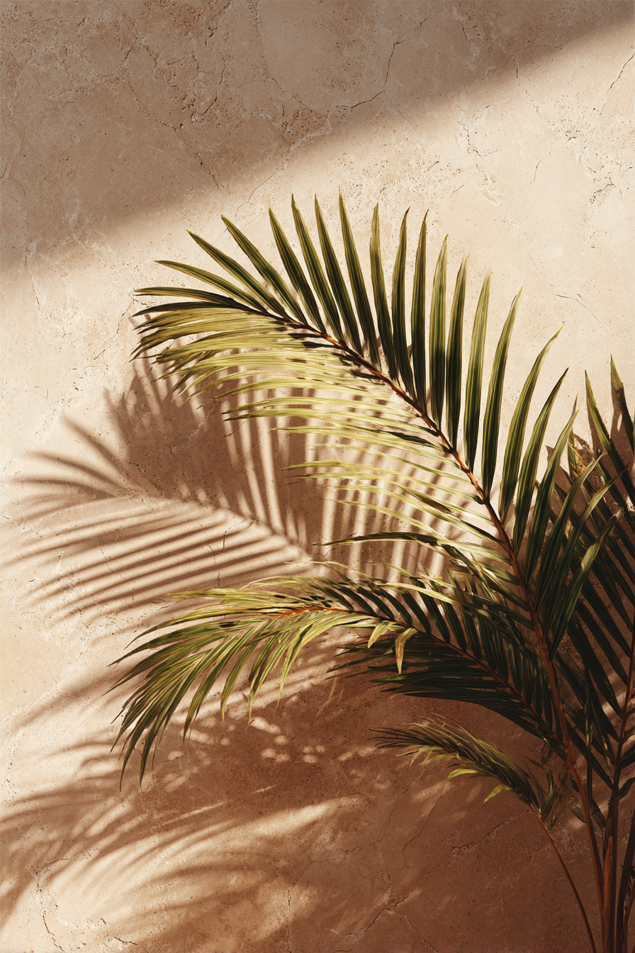 Botanisk poster med palmblad som kastar mjuka skuggor på en varm terrakottavägg.